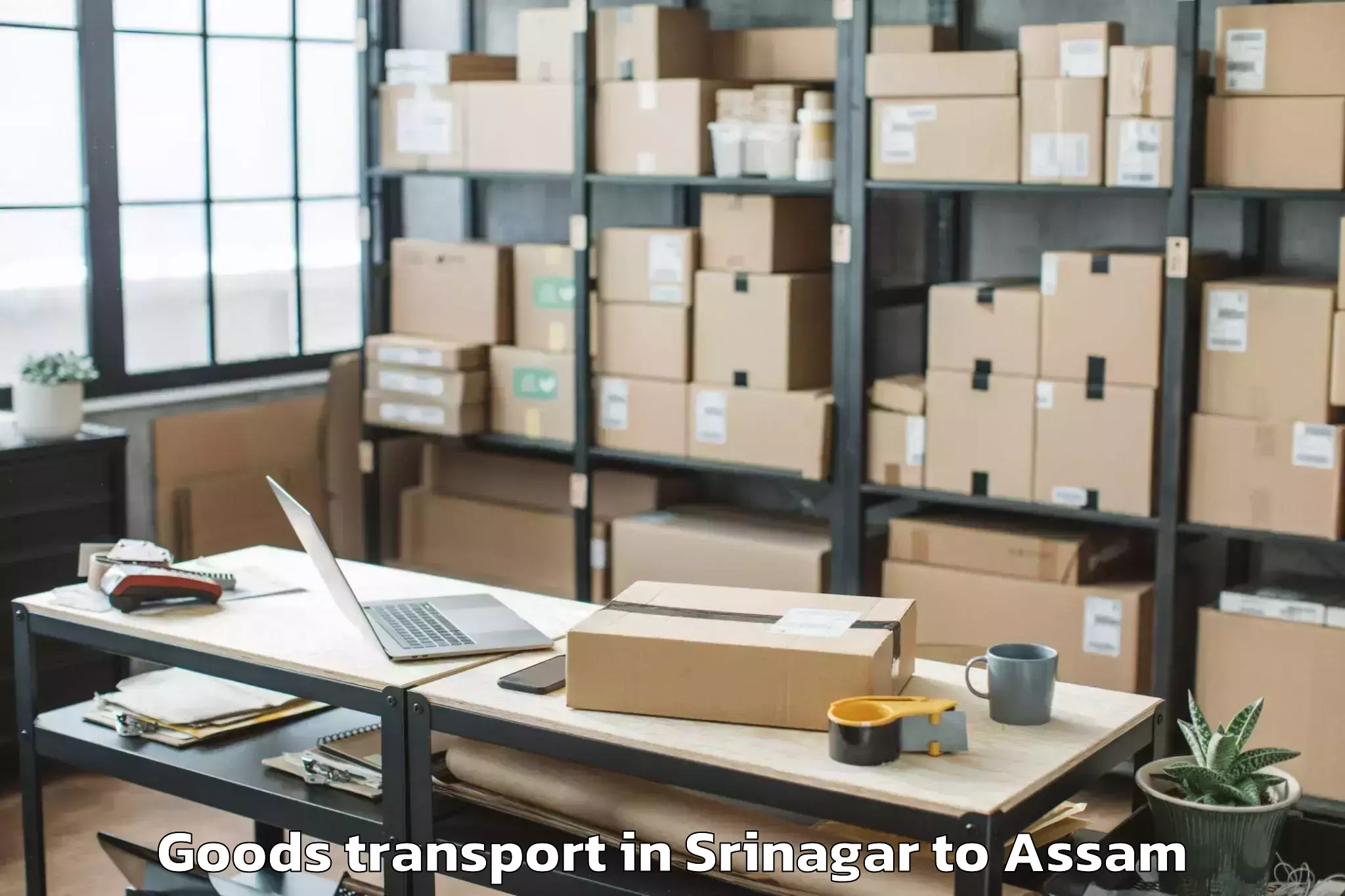 Easy Srinagar to Kalaigaon Goods Transport Booking